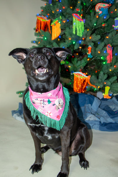 Christmas Raccoons Dog Bandana