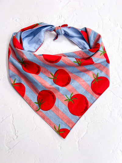Tomato Bandana Blue & Pink