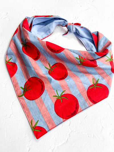 Tomato Bandana Blue & Pink