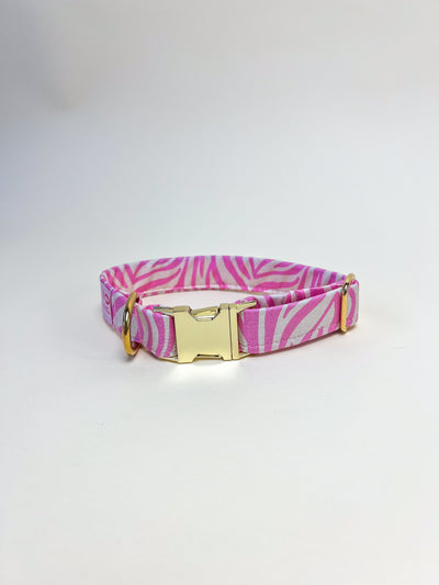 Pink Zebra Stripe Dog Collar