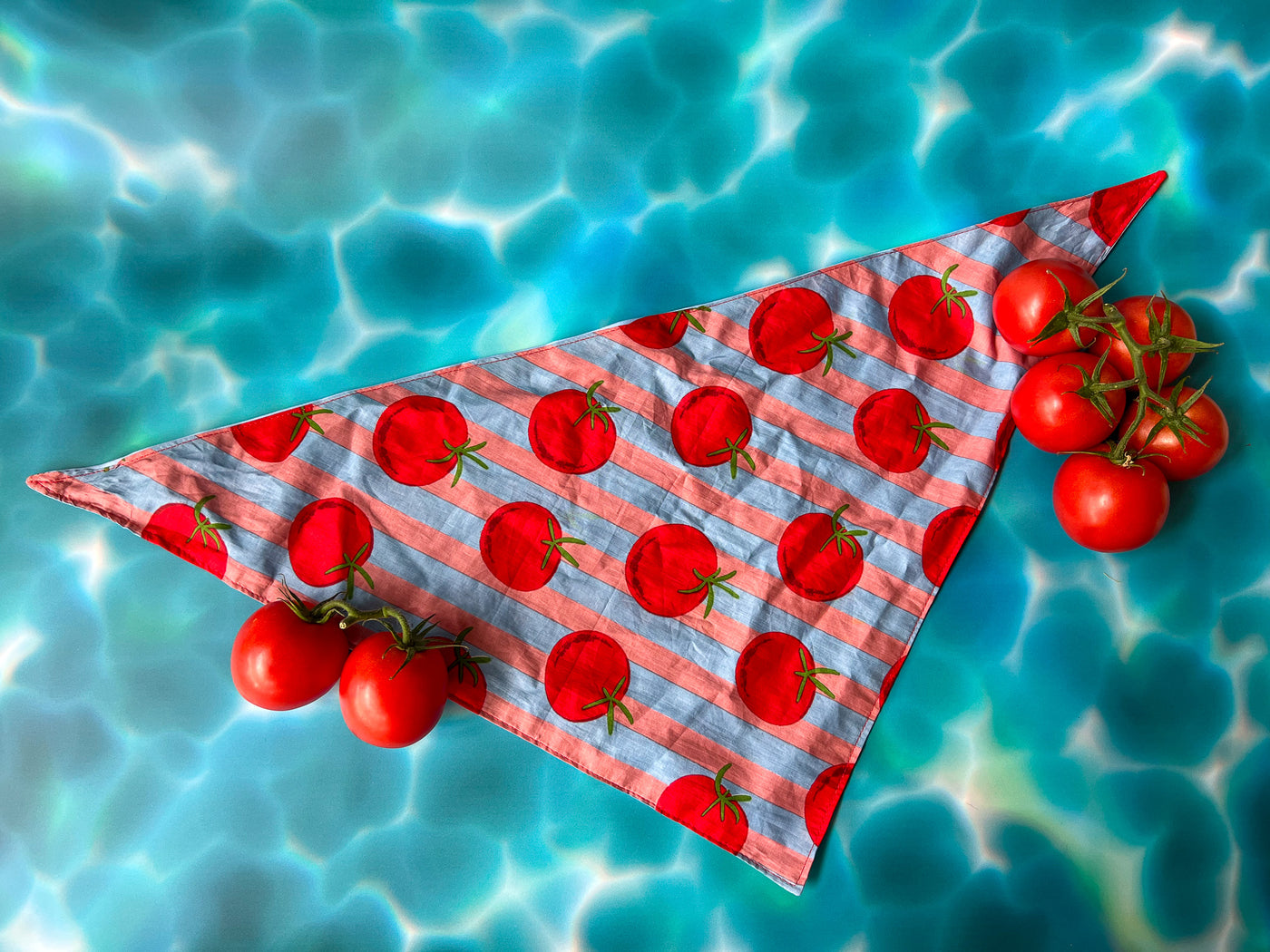 Tomato Bandana Blue & Pink