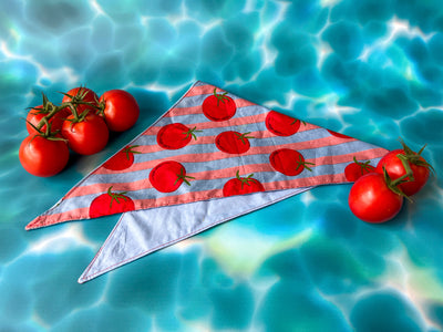 Tomato Bandana Blue & Pink