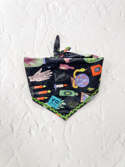 Spooky Salem Halloween Dog Bandana