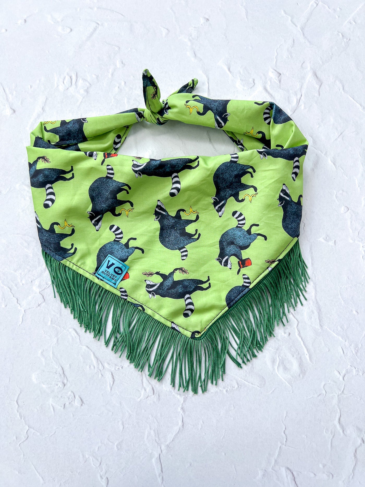 Silly Raccoons Fringe Dog Bandana