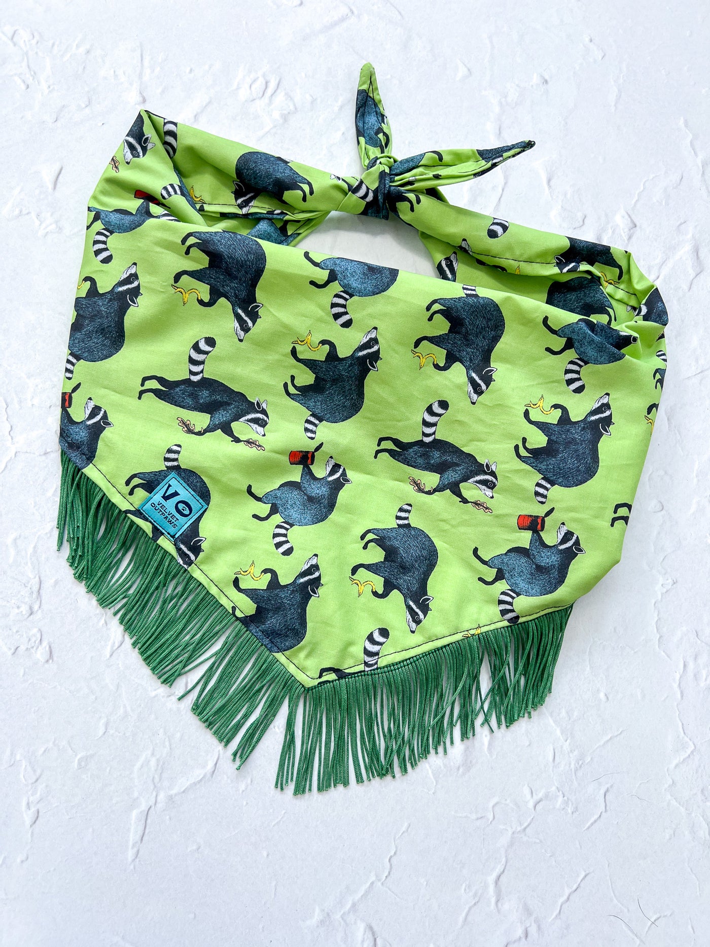 Silly Raccoons Fringe Dog Bandana