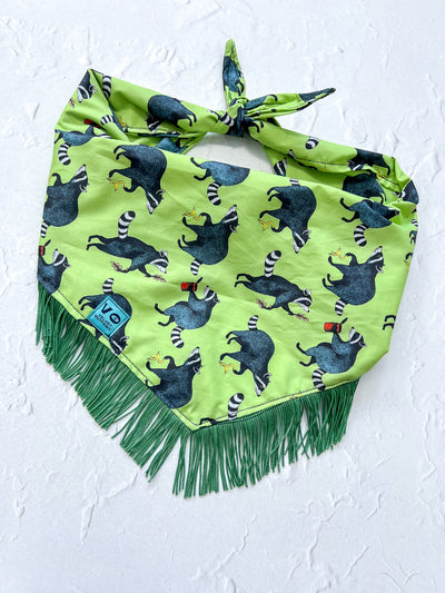 Silly Raccoons Fringe Dog Bandana