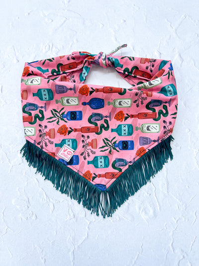 Potion Halloween Fringe Dog Bandana