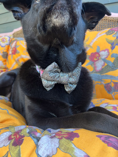 Metallic Quilted Dog Bow Tie