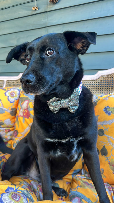 Metallic Quilted Dog Bow Tie
