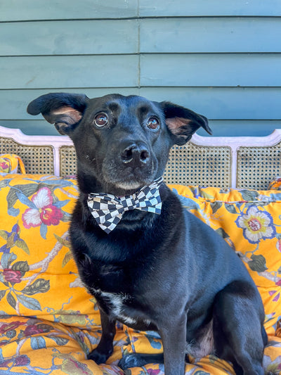 Black & White Checker Dog Bow Tie