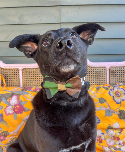 Camo Dog Bow Tie