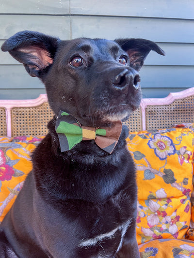 Camo Dog Bow Tie