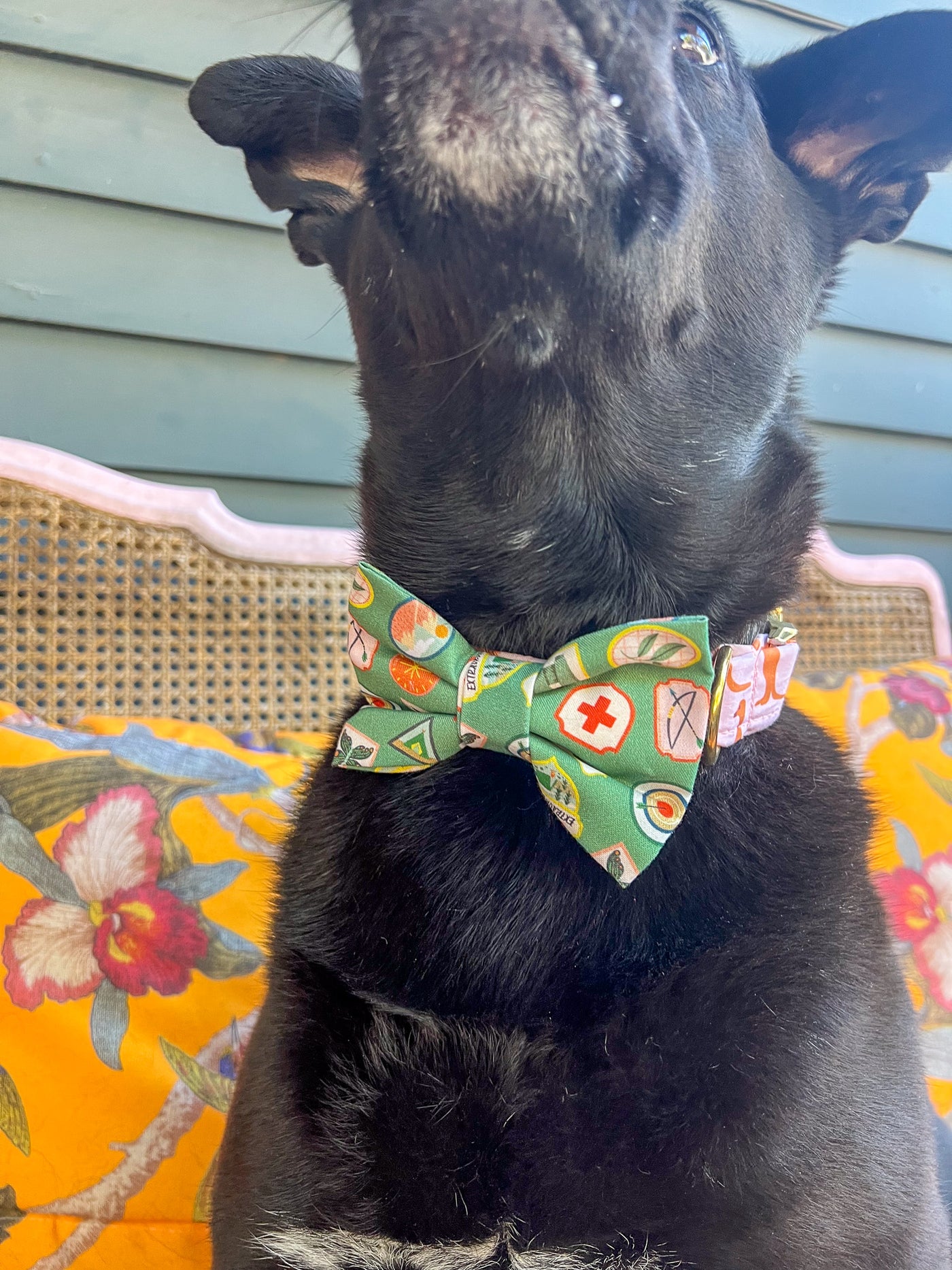 Good Camper Dog Bow Tie