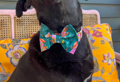 Space Cowboys Dog Bow Tie