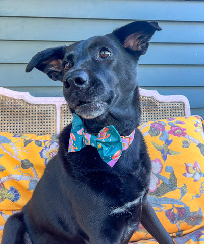 Space Cowboys Dog Bow Tie