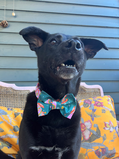 Space Cowboys Dog Bow Tie