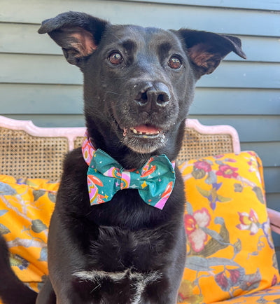 Space Cowboys Dog Bow Tie